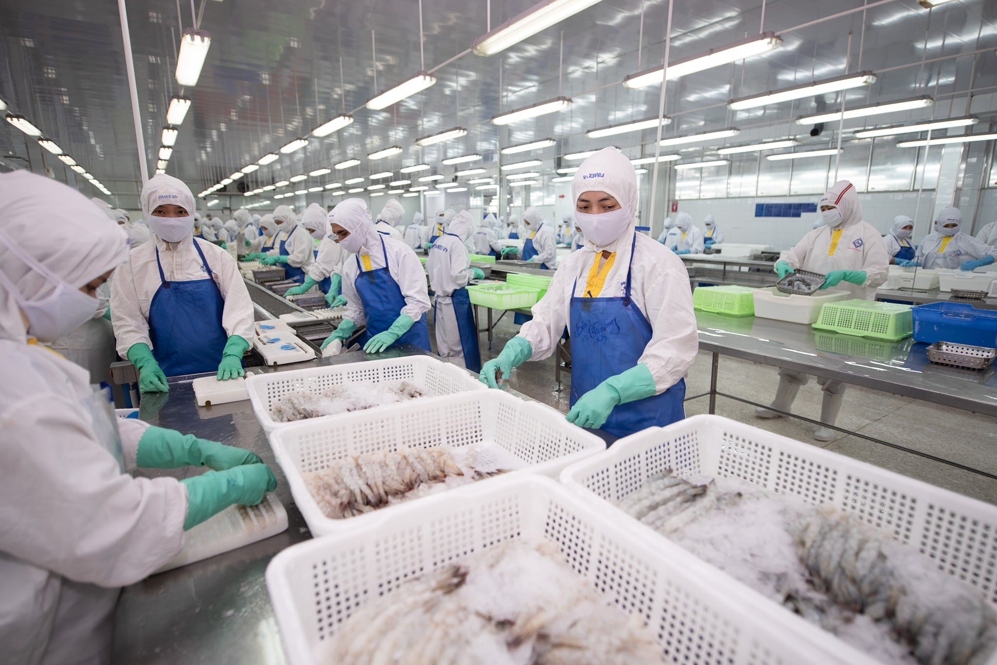 Xu hướng nhập khẩu tôm tại Mỹ, Trung Quốc và EU