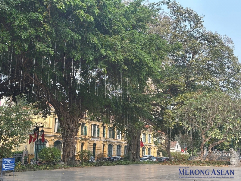 Việc cải tạo sửa chữa hạng mục cây xanh sẽ được thực hiện theo nguyên tắc: Những cây có giá trị, cây trồng lâu năm, cây cổ thụ sẽ không tác động, chỉ thay thế, dịch chuyển các cây nhỏ không có giá trị, cây sâu bệnh.