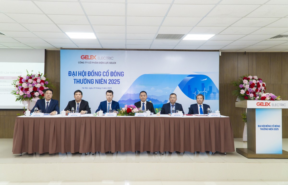 ĐHĐCĐ Gelex Electric: Tái cơ cấu HĐQT, mục tiêu doanh thu vượt 22.000 tỷ đồng
