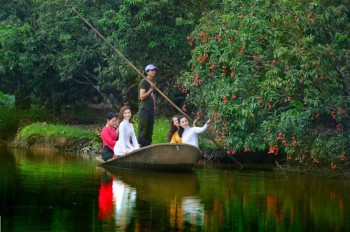 Sẽ có nhiều hoạt động trong mùa vải thiều Thanh Hà 2025 ở Hải Dương