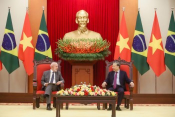 Việt Nam là đối tác quan trọng của Brazil tại khu vực châu Á