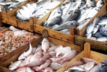 10 thị trường xuất khẩu thủy sản lớn nhất của Việt Nam trong quý 1/2025