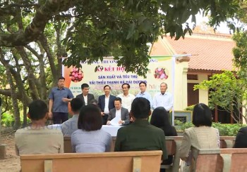 Hải Dương chủ động kết nối tiêu thụ vải thiều vụ mùa 2025