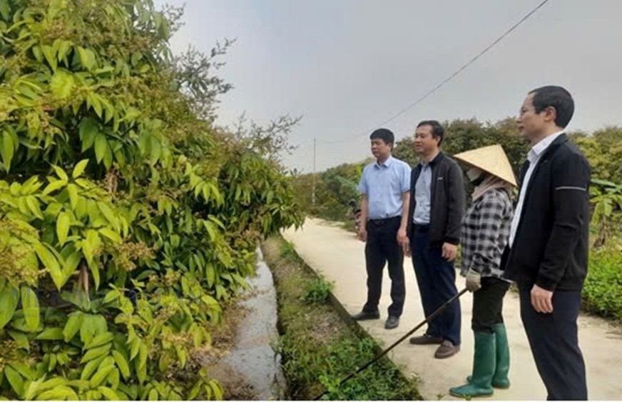 Lãnh đạo Chi cục Trồng trọt và Bảo vệ thực vật tỉnh Hải Dương tăng cường chỉ đạo địa phương trong tỉnh tuân thủ các quy định về mã số vùng trồng, cơ sở đóng gói phục vụ xuất khẩu.