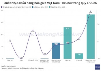 Thương mại Việt Nam - Brunei tăng gần 21% trong quý 1/2025