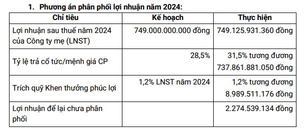 Ảnh hưởng nặng nề từ siêu bão Yagi, PVI vẫn chia cổ tức năm 2024 ở mức cao Ảnh hưởng nặng nề từ siêu bão Yagi, PVI vẫn chia cổ tức năm 2024 ở mức cao