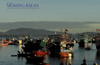 Việt Nam lần đầu lọt Top 4 thị trường nhập khẩu thủy sản của Singapore
