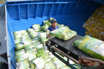 Xuất khẩu gạo của Việt Nam từ đầu năm giảm gần 15%