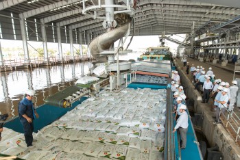 Doanh thu Phân bón Cà Mau lên mức cao nhất 3 năm