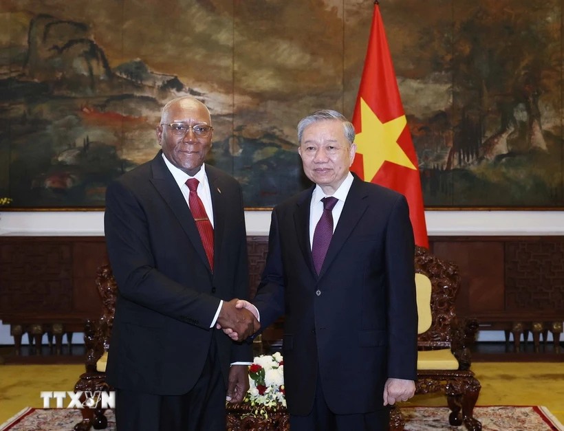 Tổng Bí thư Tô Lâm tiếp đồng chí Salvador Valdes Mesa, Ủy viên Bộ Chính trị, Phó Chủ tịch nước Cộng hòa Cuba. Ảnh: TTXVN.
