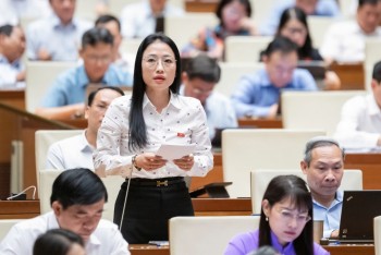 Nghị trường 