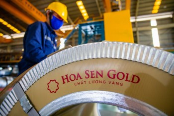 Hoa Sen Group phản hồi việc công ty con chậm nộp thuế
