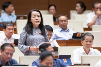 Đại biểu đề nghị giữ quyền được chất vấn Chánh án TAND, Viện trưởng VKSND