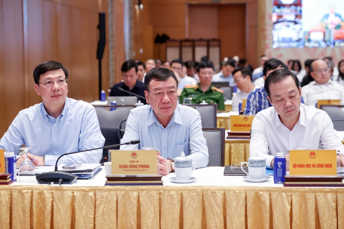 Các đại biểu tham dự. Ảnh: VGP.