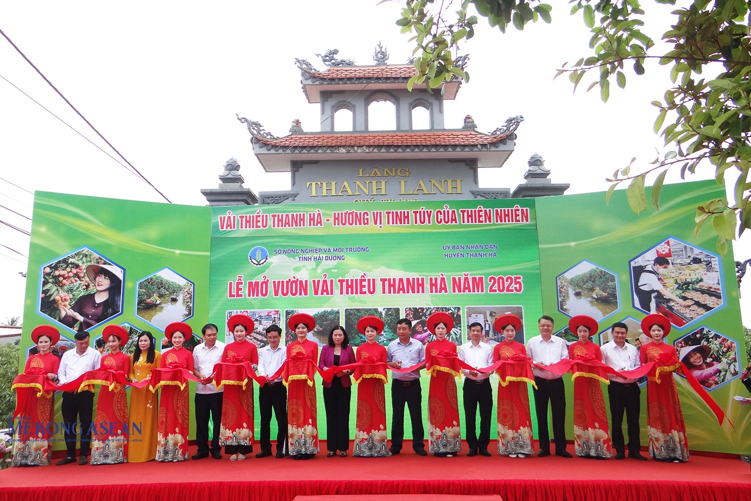 Các đại biểu cắt băng mở vườn vải năm 2025.