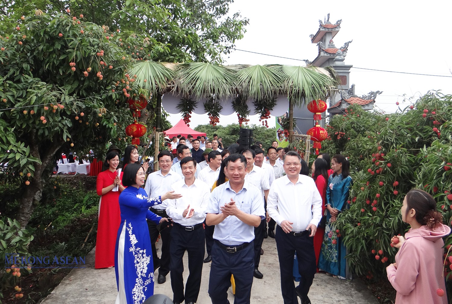 Lãnh đạo UBND tỉnh Hải Dương và các đại biểu mở vườn vải.