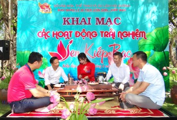 Sen Kiếp Bạc - Sắc màu ấn tượng trong hành trình điểm đến ở Hải Dương