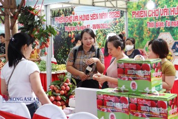 Đưa vải Hưng Yên ‘siêu to’ và đặc sản phục vụ tận tay người tiêu dùng