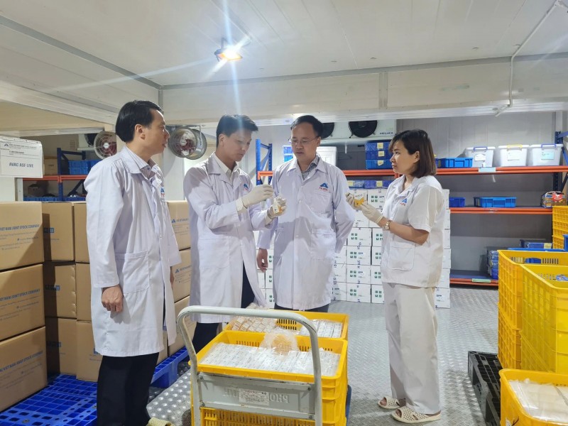 Ông Phan Quang Minh (thứ hai từ phải sang), Phó Cục trưởng Cục Chăn nuôi và Thú y (Bộ 555win Mobi và Môi trường) cùng lãnh đạo Công ty CP AVAC Việt Nam kiểm tra lô hàng vaccine trước khi xuất khẩu sang Indonesia.