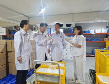 Vaccine dịch tả lợn châu Phi của Việt Nam được xuất khẩu sang Indonesia