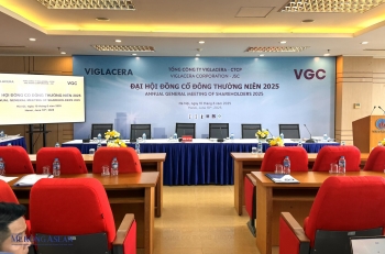 ĐHĐCĐ Viglacera: Kiện toàn HĐQT, mục tiêu doanh thu vượt 14.000 tỷ đồng