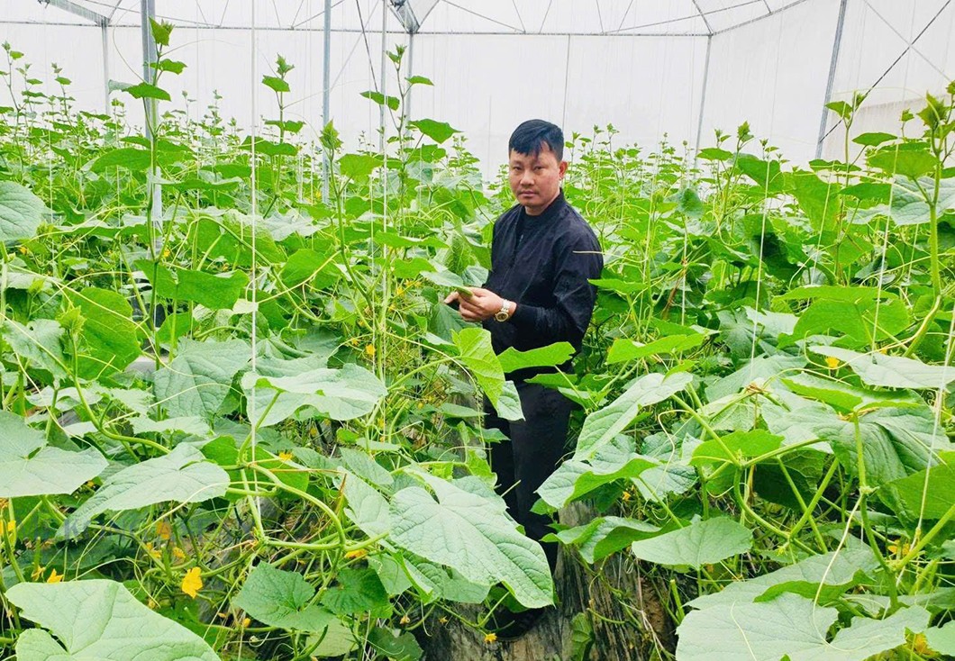Hải Dương sẽ tạo điều kiện thuận lợi cho các Trang Nhà Cái 555win.com - Đăng Nhập +555k đầu tư vào sản xuất 555win Mobi.