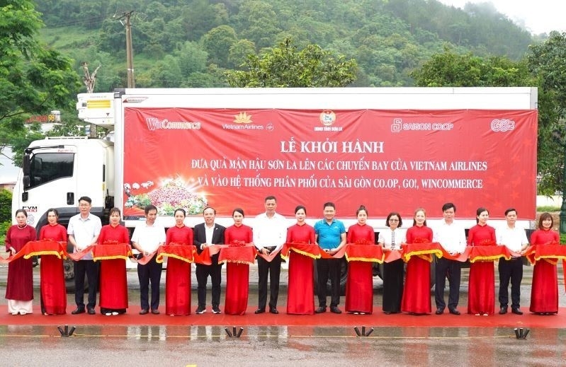 Mận hậu Sơn La được đưa vào thực đơn trên các chuyến bay của Vietnam Airline
