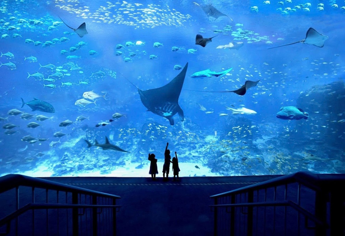 1.	Singapore Oceanarium 