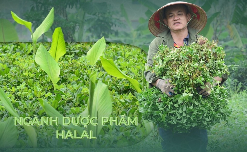 Thời điểm để Việt Nam bước vào ngành dược phẩm Halal