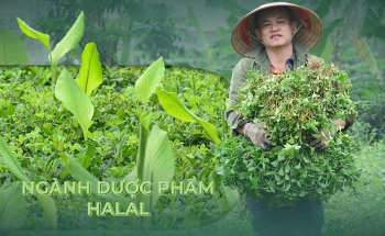 Thời điểm để Việt Nam bước vào ngành dược phẩm Halal