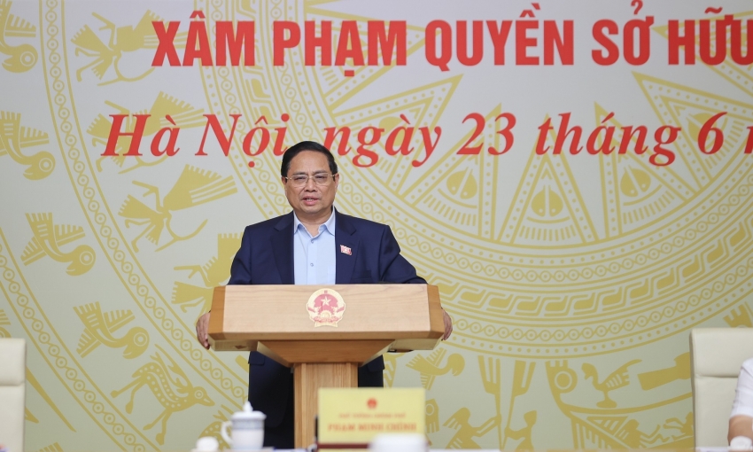 Thủ tướng Phạm Minh Chính: 'Quét sạch thuốc giả, thực phẩm giả'