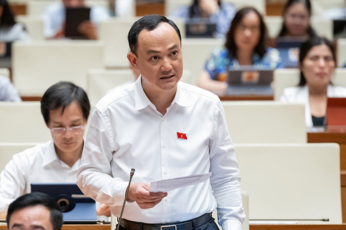 555win tải app