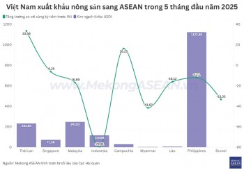 Những mặt hàng nông sản Việt Nam xuất khẩu nhiều nhất sang ASEAN