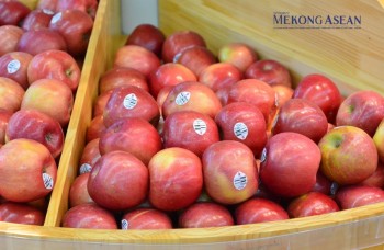 ASEAN chiếm hơn 10% giá trị giao thương của Việt Nam, đạt 45,4 tỷ USD