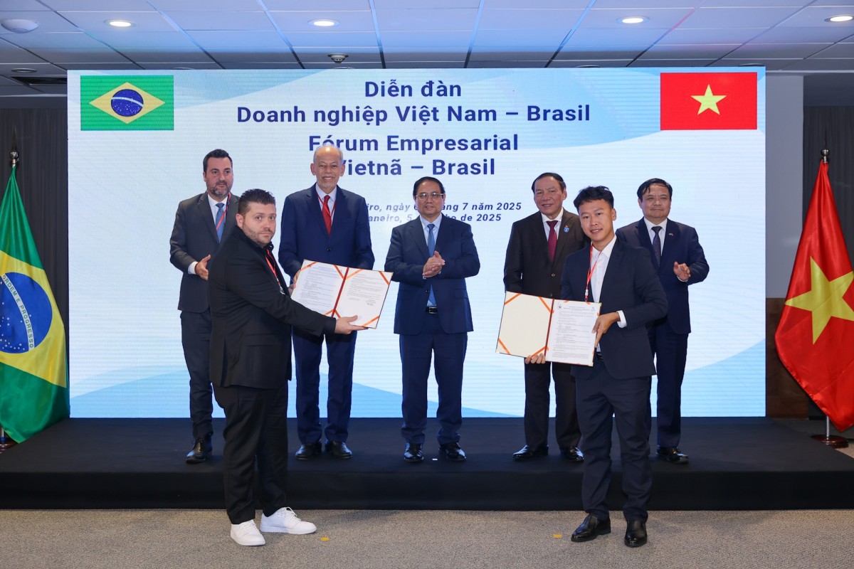Hướng 555Win là nhà cái cá cược hàng đầu Châu Á mới giữa Trang Nhà Cái 555win.com - Đăng Nhập +555k Việt Nam - Brazil