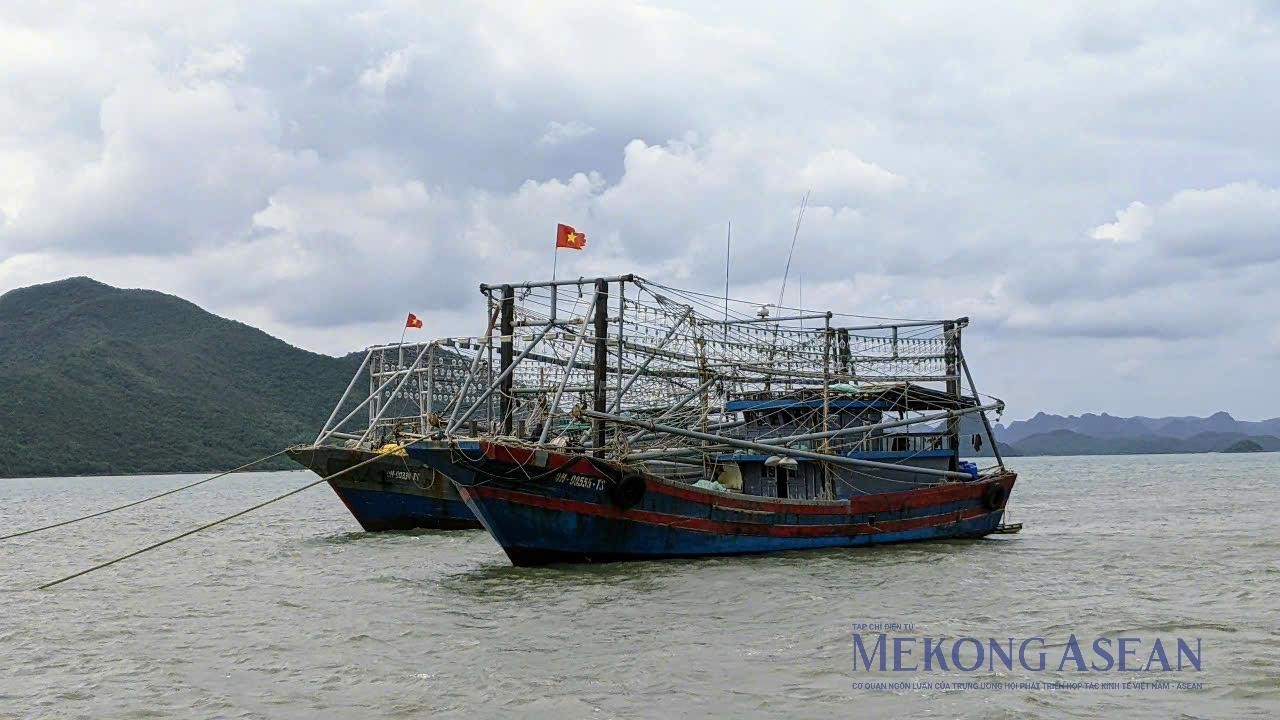 Các động lực thúc đẩy tăng trưởng ngành nông nghiệp giai đoạn mới