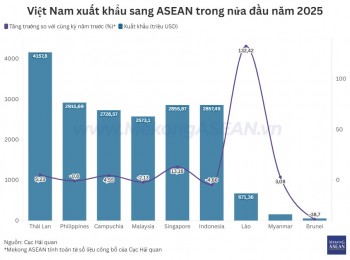 Giao thương Việt Nam – ASEAN vượt 45 tỷ USD, Thái Lan dẫn đầu với 10 tỷ USD