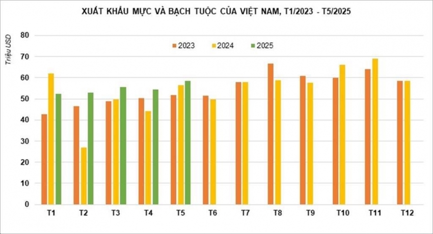 Xuất khẩu mực, bạch tuộc kỳ vọng vượt 700 triệu USD năm 2025
