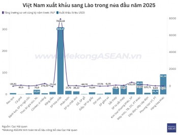 Top 10 mặt hàng Việt Nam xuất khẩu sang Lào nửa đầu năm 2025
