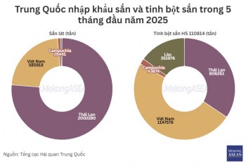 Việt Nam là nguồn cung tinh bột sắn lớn nhất của Trung Quốc
