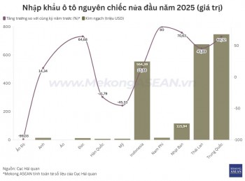 Thị trường ô tô nhập khẩu tại Việt Nam: Trung Quốc vươn lên dẫn đầu về kim ngạch
