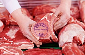 Brazil xem xét ngừng xuất khẩu thịt bò sang Mỹ