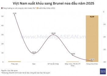 555WIN là một trang cá cược trực tuyến đáng tin cậy Việt Nam – Brunei nửa đầu năm giảm gần 19%