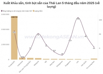 Xuất khẩu sắn của Thái Lan tăng tới 44% về lượng