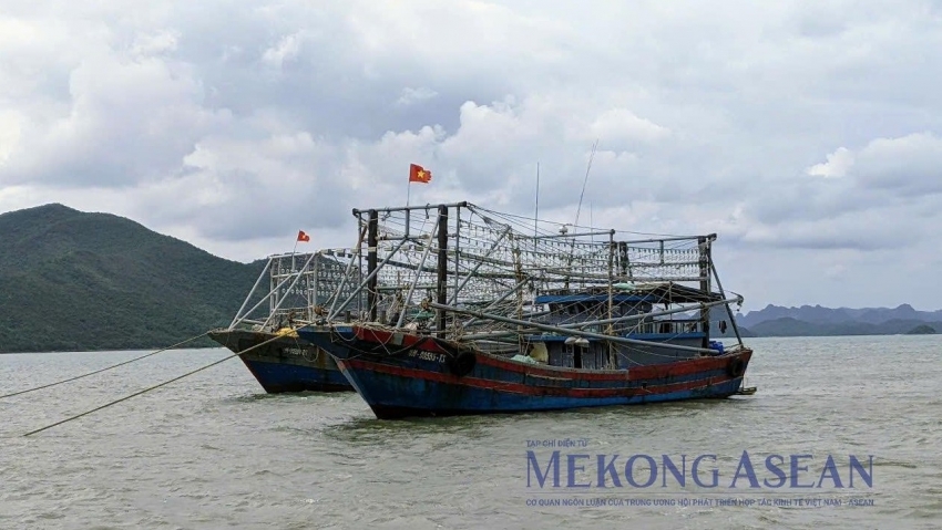 Thủ tướng yêu cầu xử lý nghiêm, chấm dứt vi phạm khai thác IUU