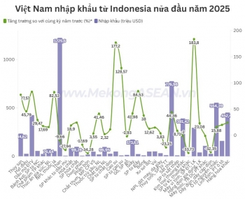 Việt Nam chi hơn một tỷ USD để nhập khẩu than từ Indonesia