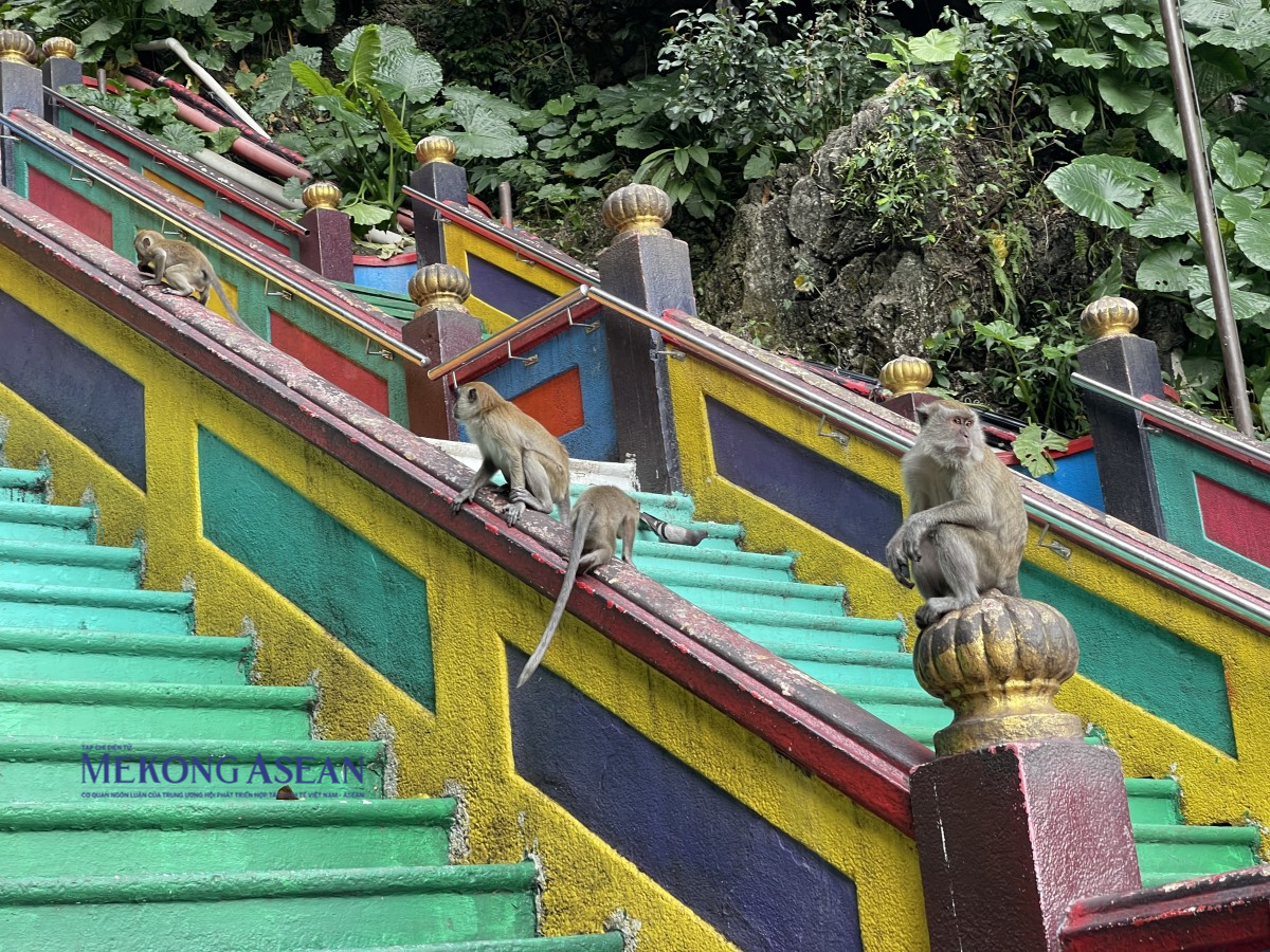 Ba ngày ở Kuala Lumpur chơi gì