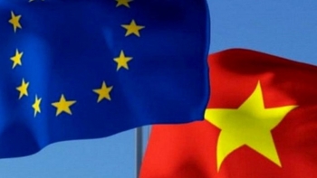 Giao thương Việt Nam - EU đạt gần 300 tỷ USD sau 5 năm thực thi EVFTA