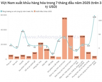 Việt Nam xuất siêu hơn 10 tỷ USD, xuất nhập khẩu tăng mạnh hai con số