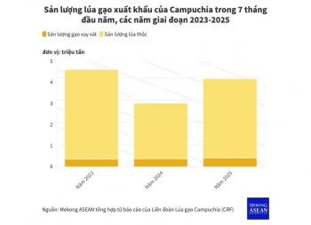 Châu Âu chiếm gần 50% sản lượng gạo xuất khẩu của Campuchia